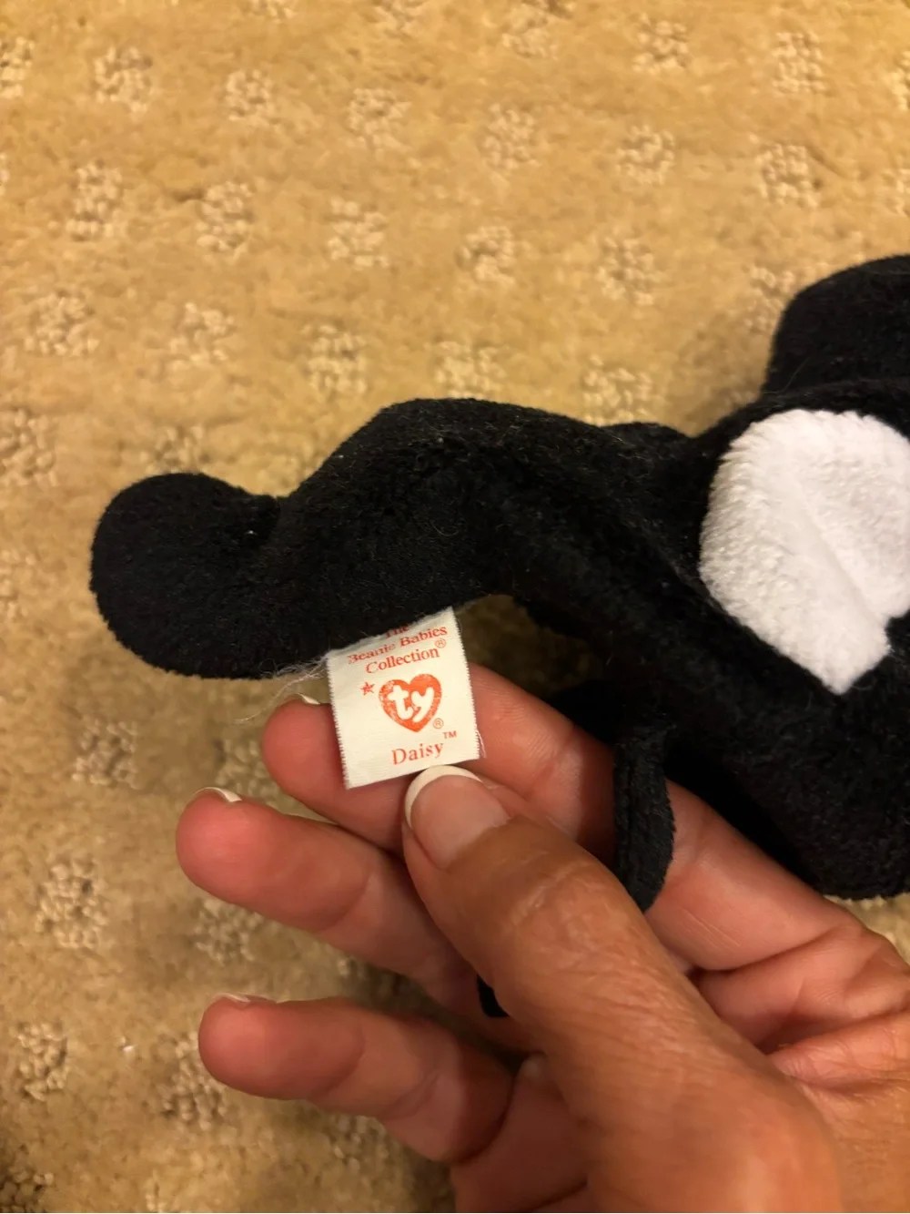 LOT 5 Ty Beanie Babies - Multicolor Plush Animals